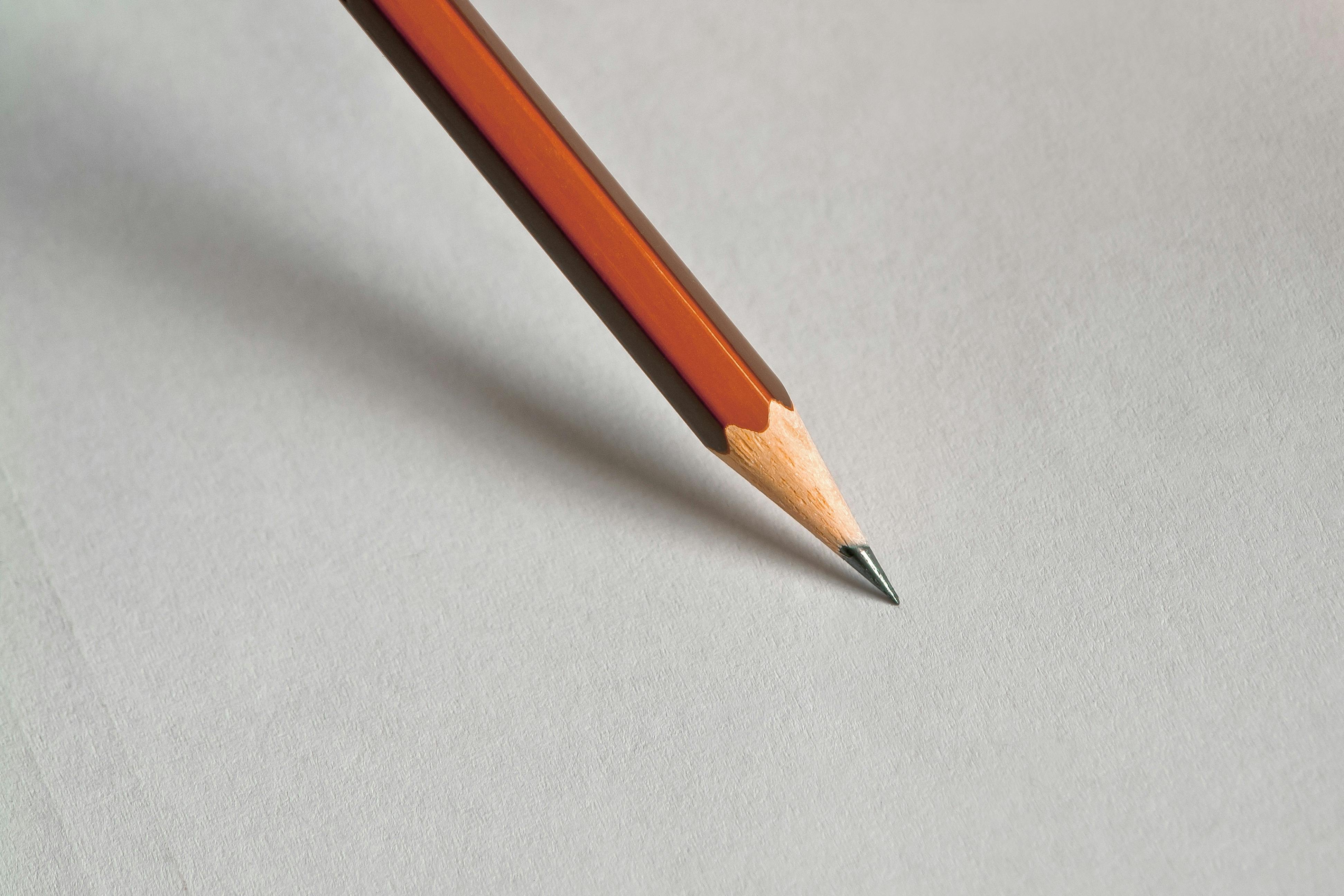 logo img